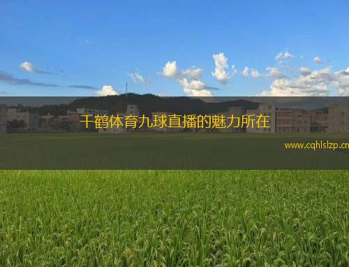 千鶴體育九球直播的魅力所在
